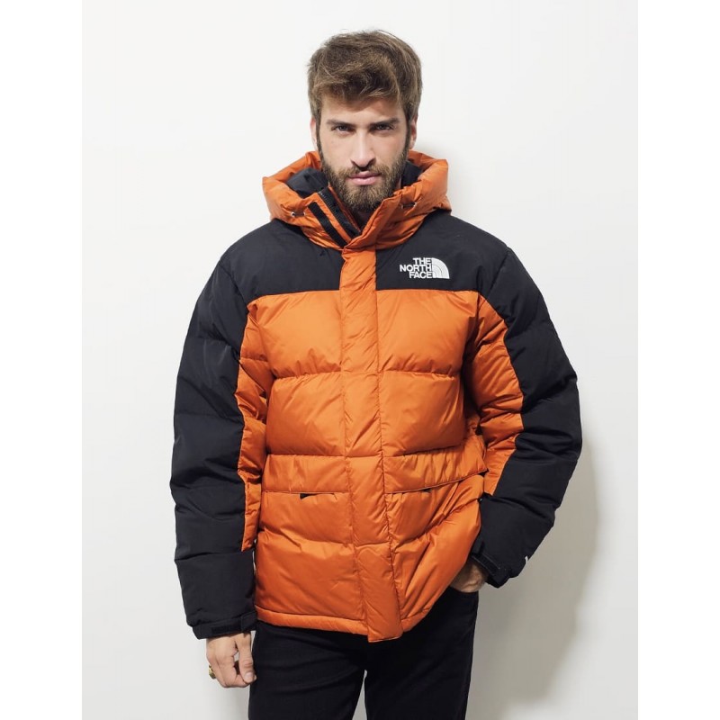 giubbino the north face  vari colori